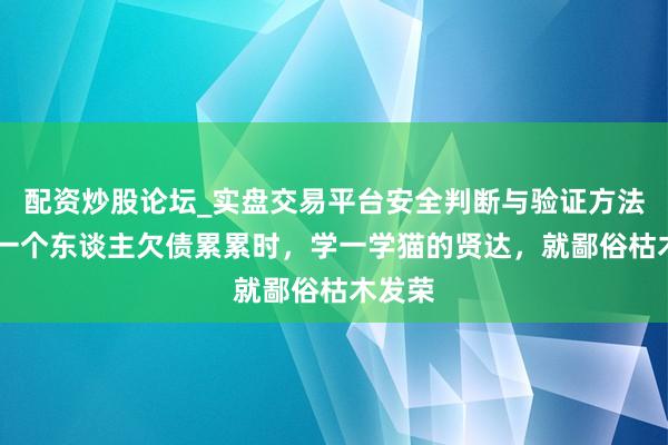 配资炒股论坛_实盘交易平台安全判断与验证方法说明 一个东谈主欠债累累时，学一学猫的贤达，就鄙俗枯木发荣