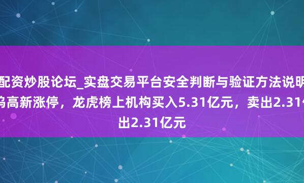 配资炒股论坛_实盘交易平台安全判断与验证方法说明 中钨高新涨停,龙虎榜上机构买入5.31亿元,卖出2.31亿元