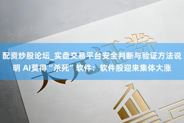配资炒股论坛_实盘交易平台安全判断与验证方法说明 AI莫得“杀死”软件：软件股迎来集体大涨