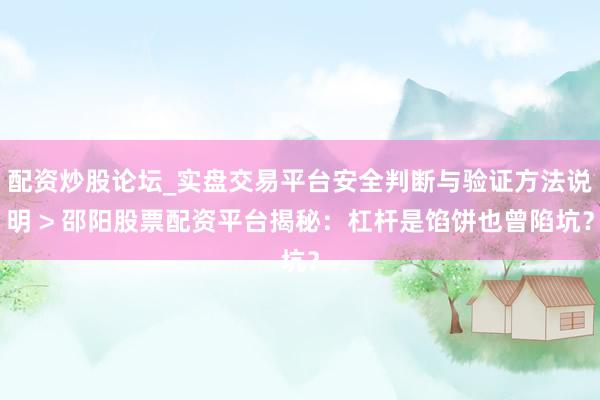 配资炒股论坛_实盘交易平台安全判断与验证方法说明 > 邵阳股票配资平台揭秘:杠杆是馅饼也曾陷坑?
