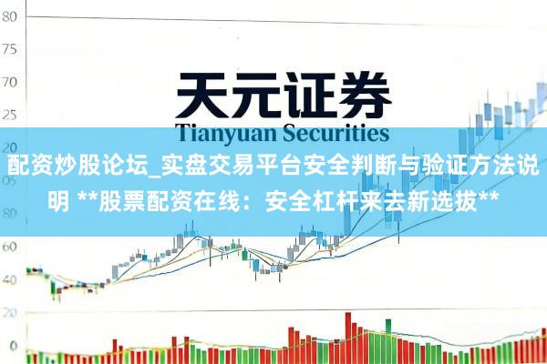 配资炒股论坛_实盘交易平台安全判断与验证方法说明 **股票配资在线：安全杠杆来去新选拔**